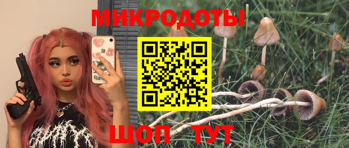 Галлюциногенные грибы GOLDEN TEACHER  Вход с VPN  Ковров  Псилоцибиновые грибы Psilocybe 